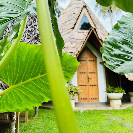 Turtle Wood Cabin Tangalle Eksteriør bilde