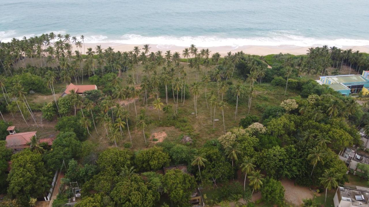 Turtle Wood Cabin Tangalle Eksteriør bilde