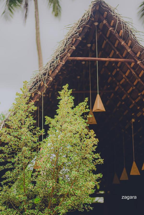 Turtle Wood Cabin Tangalle Eksteriør bilde