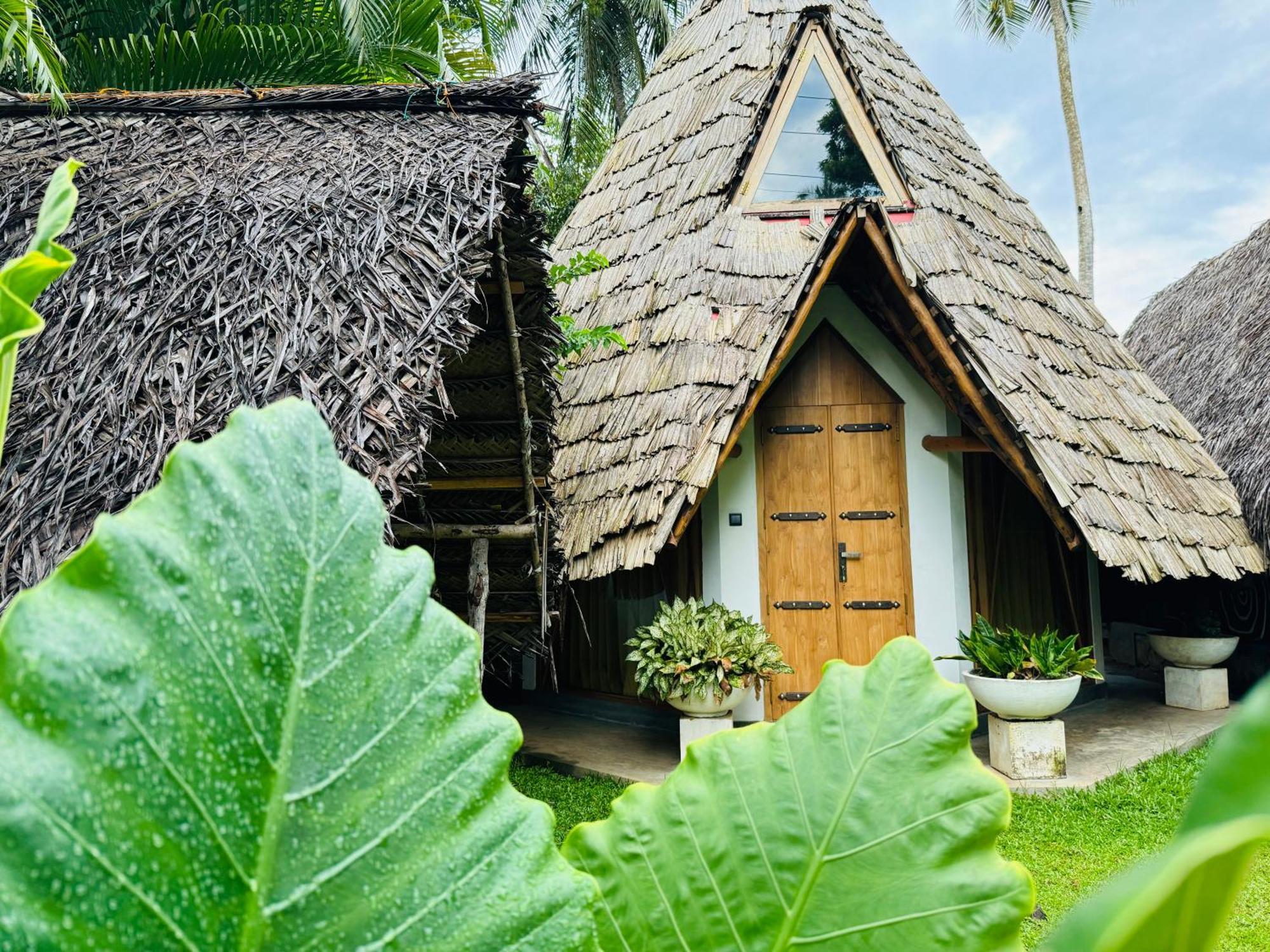 Turtle Wood Cabin Tangalle Eksteriør bilde