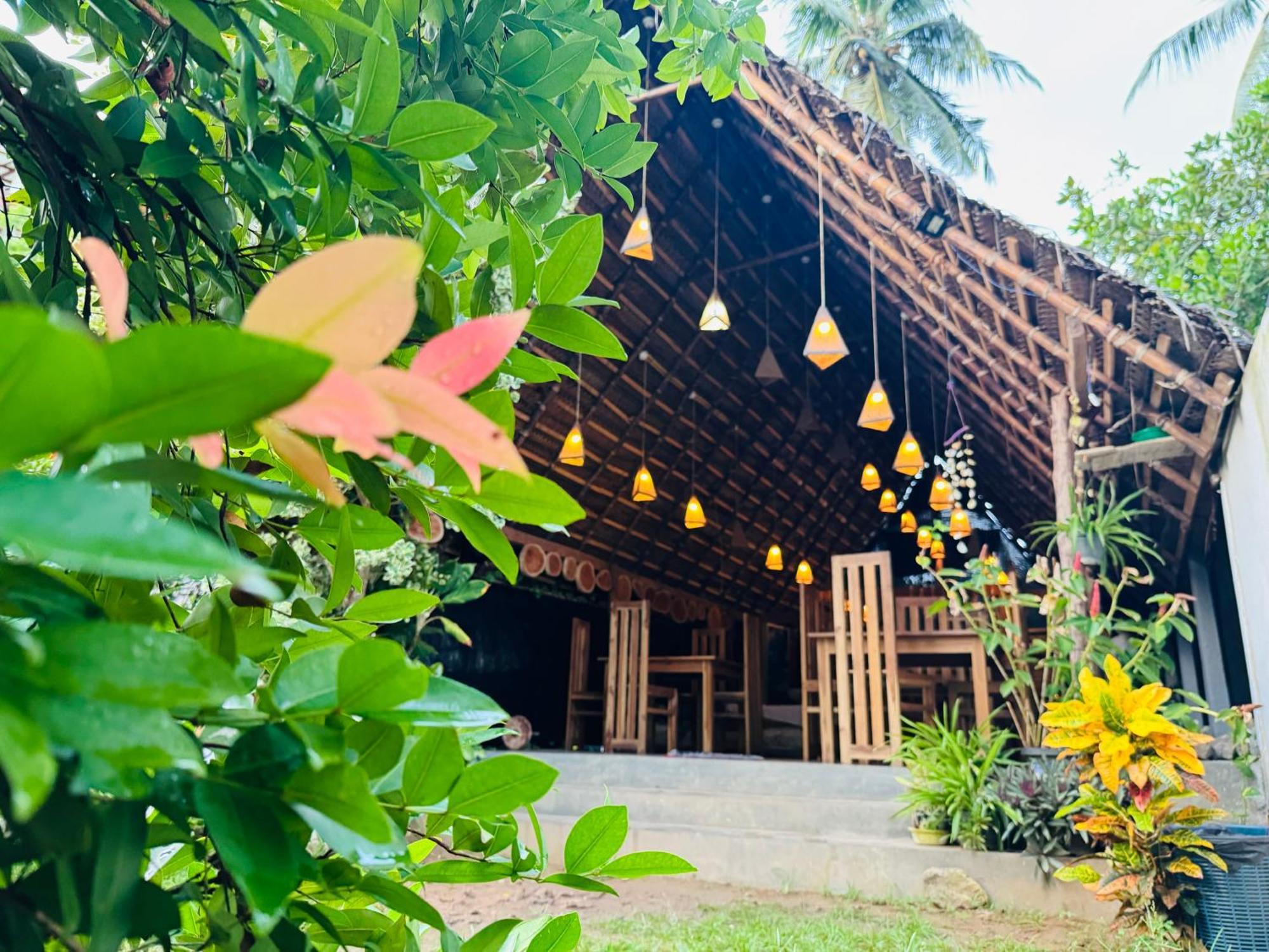 Turtle Wood Cabin Tangalle Eksteriør bilde