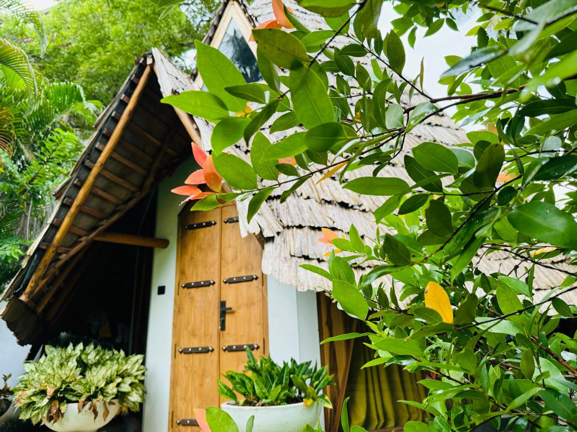 Turtle Wood Cabin Tangalle Eksteriør bilde