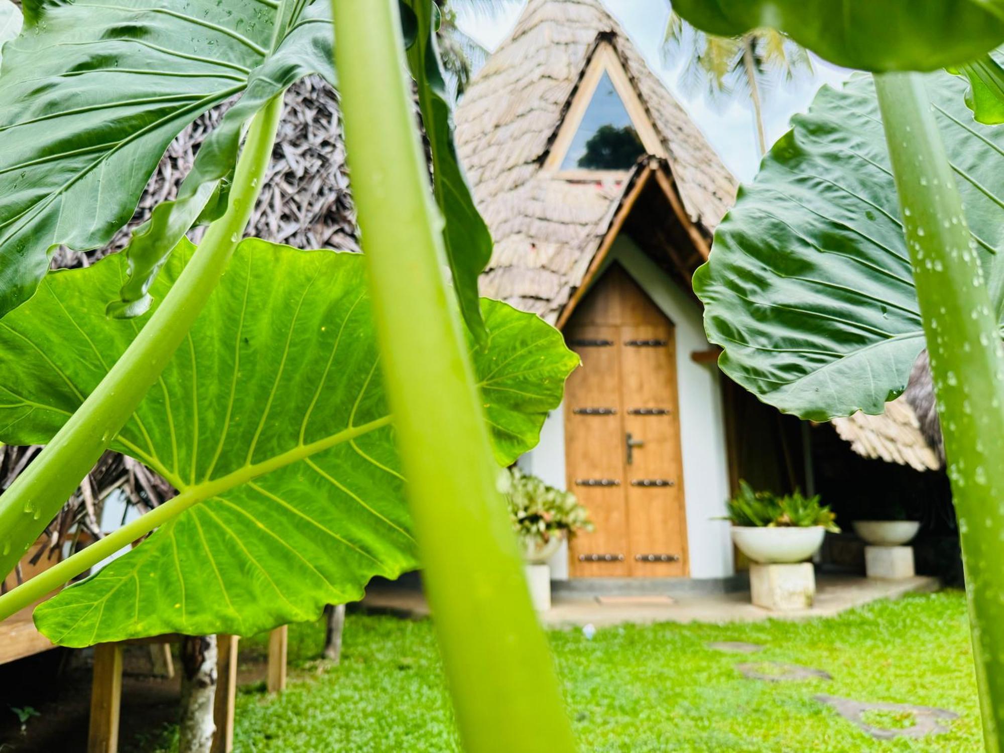 Turtle Wood Cabin Tangalle Eksteriør bilde