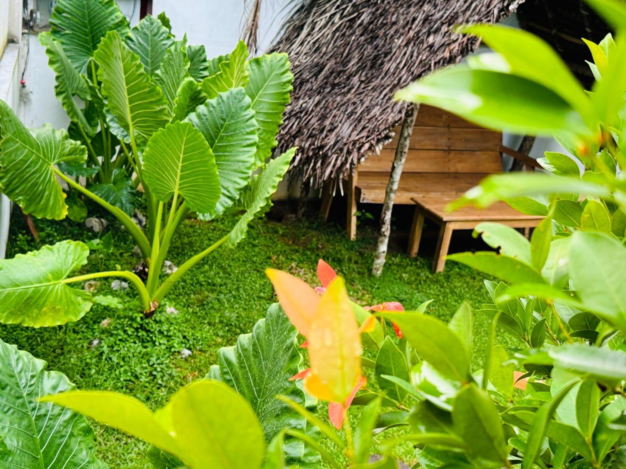 Turtle Wood Cabin Tangalle Eksteriør bilde