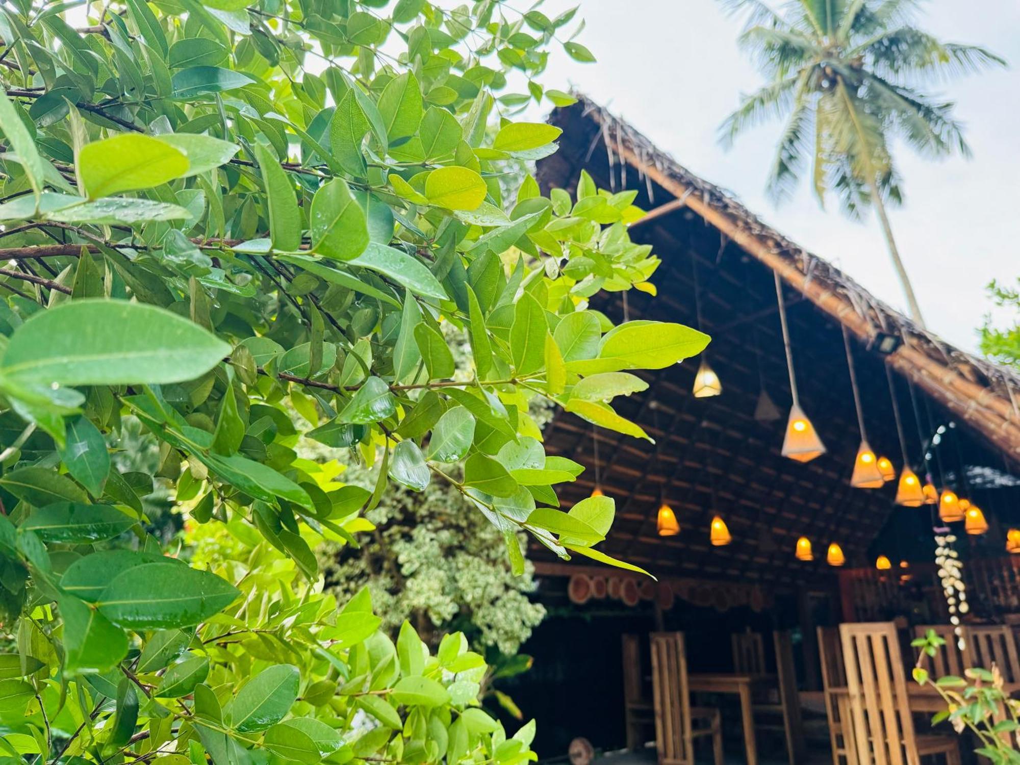 Turtle Wood Cabin Tangalle Eksteriør bilde