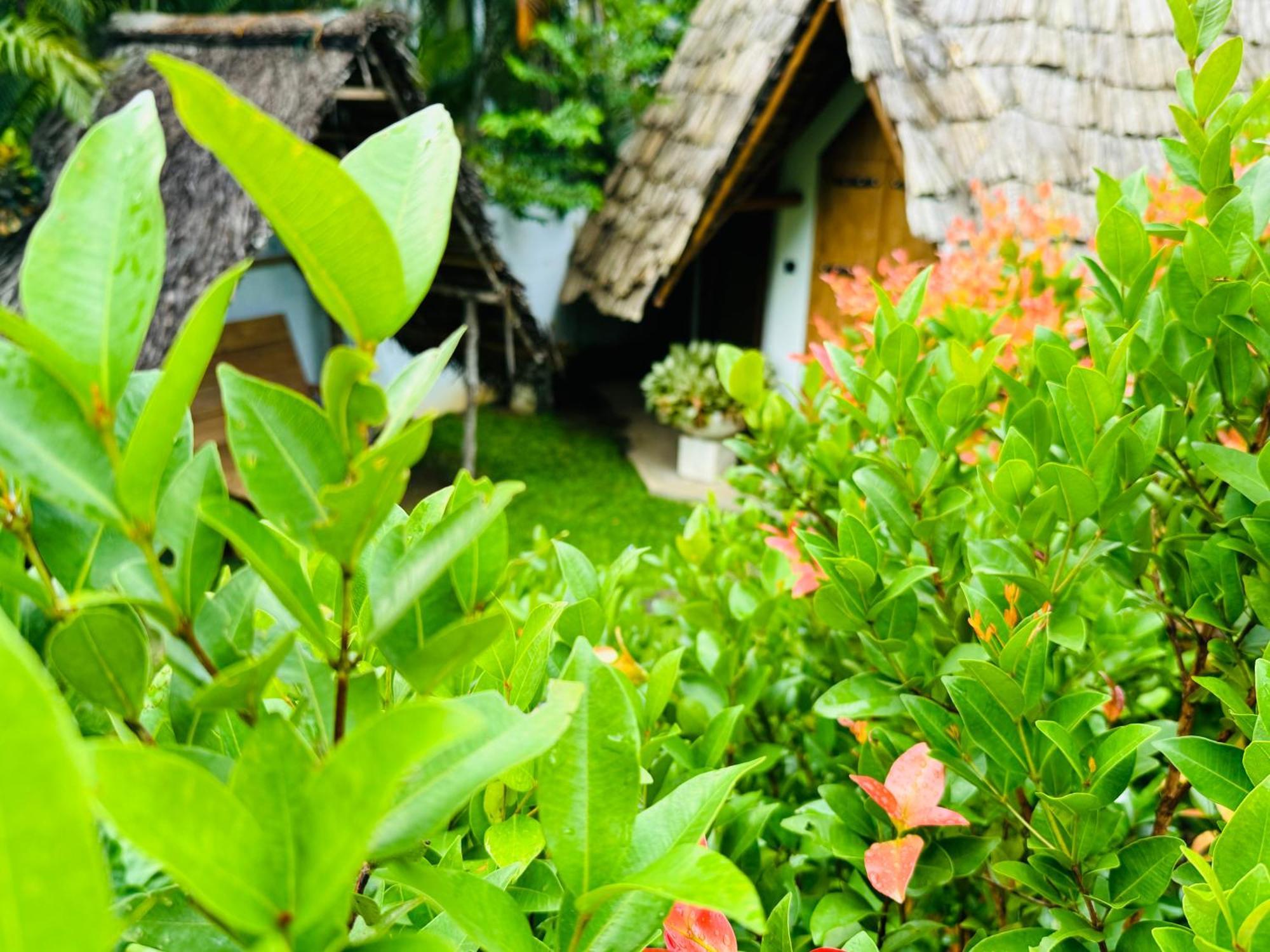 Turtle Wood Cabin Tangalle Eksteriør bilde
